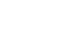 home instead logo