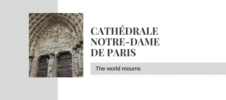 Mourning the “Heart of Paris”